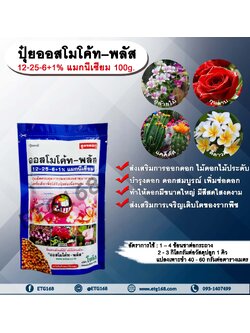 ปุ๋ยออสโมโค้ท – พลัส 12-25-6+1% แมกนีเซียม 100g. ส่งเสริมการออกดอก ไม้ดอกไม้ประดับ บำรุงดอก ดอกสมบูรณ์ เพิ่มช่อดอก ทำให้ดอกมีขนาดใหญ่ มีสีสดใสงดงาม ส่งเสริมการเจริญเติบโตของรากพืช ปุ๋ยละลายช้า บำรุงไม้ดอกไม้ประดับ กล้าไม้ต่างๆ ไม้ผล