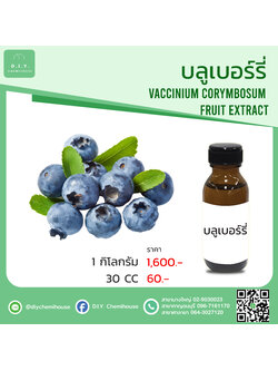 สารสกัลบลูเบอร์รี่