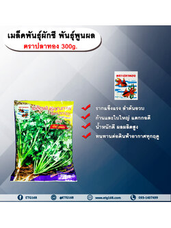 ผักชี พูนผล 300 g. ตราปลาทอง
