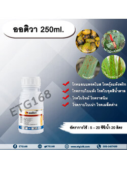 ออติวา 250ml. ไดฟีโนโคนาโซล+อะซอกซีสโตรบิน สารป้องกันกำจัดโรคพืช กำจัดเชื้อรา โรคกาบใบแห้ง โรคกาบใบเน่า โรคใบจุดสีน้ำตาล โรคเมล็ดด่าง โรคแอนแทคโนส โรคกุ้งแห้งพริก โรคราสนิม โรคใบไหม้ โรคใบจุด ซินเจนทา