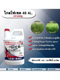 ไกลโฟเซต 48 แซดยู 4L.ไกลโฟเซต สารกำจัดวัชพืช แบบดูดซึม กำจัดหญ้าทุกชนิด หญ้าคา วัชพืชข้ามปี กำจัดหญ้าใบแคบ ใบกว้างและกก ดูดซึมไม่เลือกทำลาย