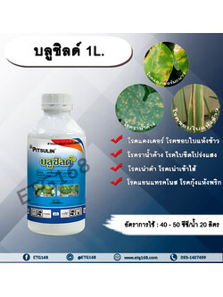 บลูชิลด์ 1L. ออกซีนคอปเปอร์ สารกำจัดโรคพืช กำจัดเชื้อราและแบคทีเรีย โรคแคงเคอร์ โรคเน่าเข้าไส้ โรคราน้ำค้าง โรคขอบใบแห้ง โรคขีดโปร่งแสง โรคแอนแทรคโนส โรคกุ้งแห้งพริก