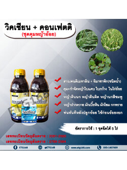 วิคเซียน + คอนเฟตติ สารคุมหญ้า สารกำจัดหญ้า ในไร่อ้อย หญ้าใบแคบ ใบกว้างและกก คุมแห้ง คุมดินชื้น อ้อยตอ อ้อยปลูกใหม่ สารคุมวัชพืช สารกำจัดวัชพืช พ่นทันทีหลังปลูกอ้อย ใช้ก่อนอ้อยงอก