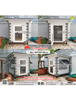 บ้านหมา บ้านแมว 𝐓𝐡𝐚𝐢 𝐝𝐨𝐠𝐠𝐲 𝐡𝐨𝐮𝐬𝗲