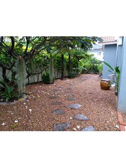 รับจัดสวนขอนแก่น