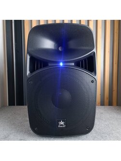 PROEUROTECH NE-12P active speaker ตู้ลำโพง มีแอมป์ในตัว 12 นิ้ว โปรยูโรเทค ตู้ลำโพง ตู้ลำโพงบลูทูธ NE 12P NE12P เอไอ-ไพศาล
