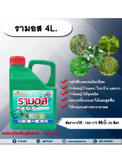 รามอส 4L. กลูโฟซิเนตแอมโมเนียม สารกำจัดวัชพืช กำจัดหญ้าใบแคบ ใบกว้าง กก หญ้าทุกชนิด ออกฤทธิ์แบบเผาไหม้และดูดซึม