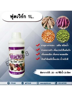ฟุตเวิร์ก 1L. ขยายหัวมัน มันหัวโต เพิ่มเปอร์เซ็นต์แป้ง เพิ่มผลผลิต เพิ่มขนาดผลผลิตช่วยให้ผลมีเนื้อแน่น น้ำหนักดี