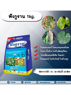 ฟังกูราน 1kg. คอปเปอร์ไฮดรอกไซด์ สารกำจัดเชื้อรา สารกำจัดแบคทีเรีย โรคแคงเคอร์ โรคแอนแทรคโนส โรคราน้ำค้าง โรคใบติดทุเรียน โรคเหี่ยวแบคทีเรีย โรคเน่าเละแบคทีเรีย โรคสแคป โรคใบไหม้ โรคใบจุด