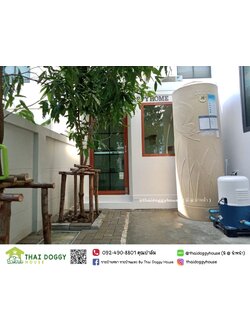 บ้านน้องแมว " Minimal Style