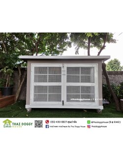 บ้านหมา บ้านแมว " BOX STYLE" หลังใหญ่ อากาศถ่ายเทได้ดี ราคาถูก