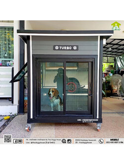 🏡 บ้านหมา บ้านแมว " 𝐁𝐎𝐗 𝐒𝐓𝐘𝐋𝐄 𝐁𝐘 𝐓𝐇𝐀𝐈 𝐃𝐎𝐆𝐆𝐘 𝐇𝐎𝐔𝐒𝐄