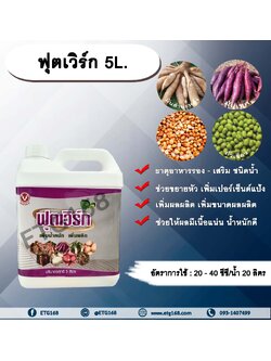 ฟุตเวิร์ก 5L. ขยายหัวมัน มันหัวโต เพิ่มเปอร์เซ็นต์แป้ง เพิ่มผลผลิต เพิ่มขนาดผลผลิตช่วยให้ผลมีเนื้อแน่น น้ำหนักดี