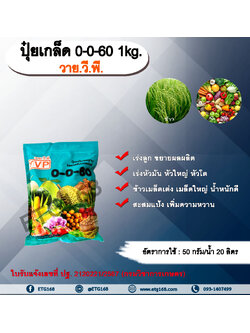ปุ๋ยเกล็ด 0-0-60 1kg. ตราวายวีพี ปุ๋ยเกล็ด เร่งลูก ขยายผลผลิต เร่งหัวมัน หัวใหญ่ หัวโต ข้าวเมล็ดเต่ง เมล็ดใหญ่ น้ำหนักดี สะสมแป้ง เพิ่มความหวาน โพแทสเซียมคลอไรด์