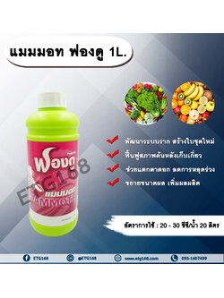 แมมมอท ฟองดู 1L. ฮอร์โมนพืช อาหารเสริมพืช อะมิโนสาหร่ายเขียวมรกต เร่งราก สร้างใบใหม่