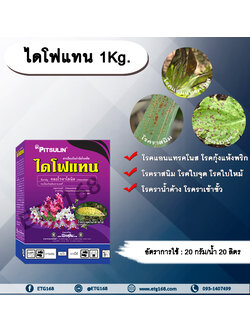 ไดโฟแทน 1Kg. คลอโรทาโลนิล สารกำจัด โรคพืช เชื้อรา โรคราสนิม โรคใบจุด โรคใบไหม้ โรคราน้ำค้าง โรคแอนแทรคโนส โรคกุ้งแห้งพริก โรคราเข้าขั้วในไม้ผล