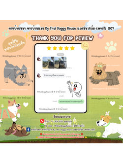 🪧 ✨𝑻𝒉𝒂𝒏𝒌 𝒚𝒐𝒖 𝒇𝒐𝒓 𝒓𝒆𝒗𝒊𝒆𝒘 🧸🐶🐱