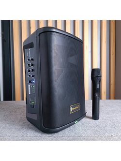 SOUNDBEST WP-8 ลำโพง 8นิ้ว พร้อม ไมค์ลอย 1ตัว ลำโพงพกพา 8 นิ้ว แอมป์ในตัว 500 วัตต์ SOUND BEST WP8 WP8 เอไอ-ไพศาล