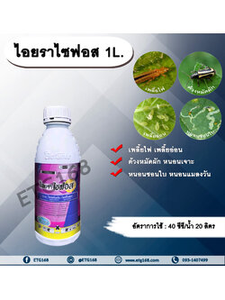 ไอยราไซฟอส 1L. ไซเพอร์เมทริน + โพรฟีโนฟอส สารกำจัดแมลง สารกำจัดหนอน เพลี้ยไฟ เพลี้ยอ่อน ด้วงหมัดผัก หนอนชอนใบ หนอนเจาะ หนอนแมลงวัน