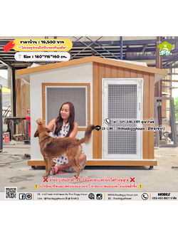 บ้านหมา บ้านแมว 𝐓𝐡𝐚𝐢 𝐝𝐨𝐠𝐠𝐲 𝐡𝐨𝐮𝐬𝐞