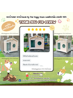 🪧 ✨ 𝑻𝒉𝒂𝒏𝒌 𝒚𝒐𝒖 𝒇𝒐𝒓 𝒓𝒆𝒗𝒊𝒆𝒘 🙏🏻🫶🏻