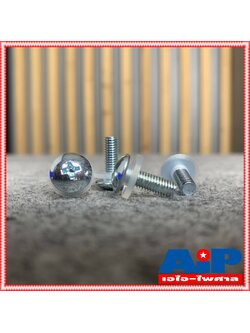 1ตัว น็อตยึด RACK / น๊อตยึดไดร์เวอร์แหลม พร้อม แหวนรอง NR+R / น็อตยึดแร็ก น็อคสำหรับตู้แร็ค น็อคยึดเครื่องเสียง น็อต ยูนิตเสียงแหลม เอไอ-ไพศาล