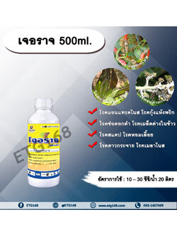 เจอราจ 500ml. โพรคลอราช โรคแอนแทรคโนส โรคกุ้งแห้งพริก โรคช่อดอกดำ โรคสแคป โรคเมล็ดด่างในข้าว โรคหอมเลื้อย โรคดาวกระจาย โรคเมลาโนส โรคราปื้นดำมะม่วง โรคพืช เชื้อรา
