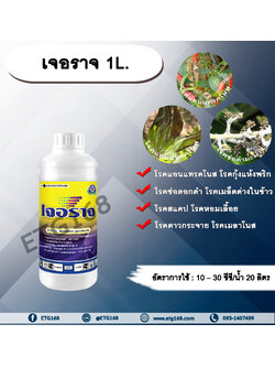 เจอราจ 1L. โพรคลอราช โรคแอนแทรคโนส โรคกุ้งแห้งพริก โรคช่อดอกดำ โรคสแคป โรคเมล็ดด่างในข้าว โรคหอมเลื้อย โรคดาวกระจาย โรคเมลาโนส โรคราปื้นดำมะม่วง โรคพืช เชื้อรา