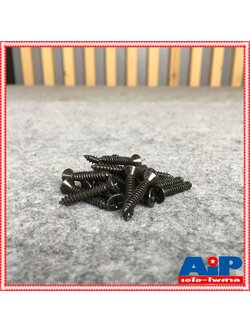 แพ็ค20ตัว สกรู FHดำ 8x1 สกรูดำ สกรูเกลียวปล่อย น็อต น็อตเกลียวปล่อย น็อตประกอบตู้ลำโพง สกรูหัวกลม ประกอบตู้ลำโพง