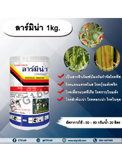 ลาร์มิน่า 1kg. บาซิลลัส ซับทิลิส ป้องกันกำจัดเชื้อราและแบคทีเรีย สารชีวภัณฑ์ เกษตรอินทรีย์ โรคแอนแทรคโนส โรคกุ้งแห้งพริก โรคเหี่ยวจากแบคทีเรีย โรคกาบใบแห้งข้าว โรคเหี่ยวจากแบคทีเรีย โรคกาบใบแห้ง