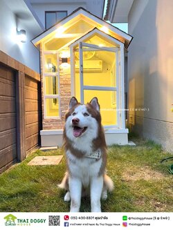 บ้านหมา บ้านแมว Nordic Style