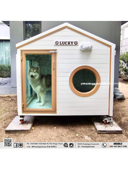บ้านหมา บ้านแมว บ้านน็อคดาวน์ บ้านสัตว์เลี้ยง แบบติดแอร์ By Thai Doggy House