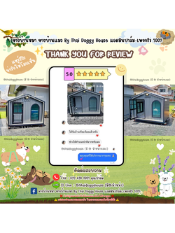 🪧 ✨ ❤️🔥 𝑻𝒉𝒂𝒏𝒌 𝒚𝒐𝒖 𝒇𝒐𝒓 𝒓𝒆𝒗𝒊𝒆𝒘 🧸🐶