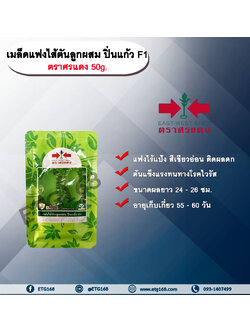 แฟงไส้ตัน ปิ่นแก้ว 50 g. ตราศรแดง