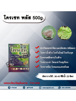 โครเซท พลัส 500g. ไซมอกซานิล+แมนโคเซบ สารกำจัดเชื้อรา โรคราน้ำค้างแตงกวา แตงโม แคนตาลูป โรคใบไหม้ โรคใบจุด โรครากเน่าโคนเน่าทุเรียน โรคถอดฝักดาบในข้าว โรคราสนิม โรคแอนแทรคโนสเชื้อรา