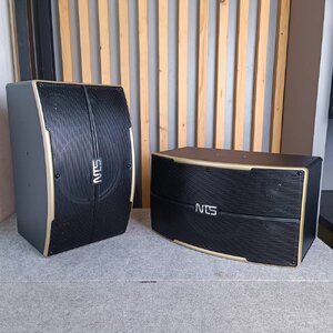 NTS OK-310 ตู้ลำโพง คาราโอเกะ 10นิ้ว (ราคาต่อ1คู่ 2ใบ) เอ็นทีเอส OK 310 OK310 เอไอ-ไพศาล