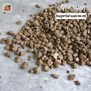 11 วัสดุเพาะปลูก