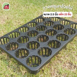 ถาดหลุมกล้วยไม้