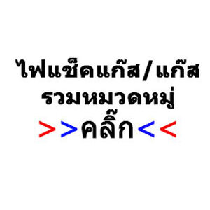 ไฟแช็คแก๊ส/แก๊ส