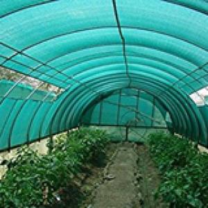 12 วัสดุโรงเรือน