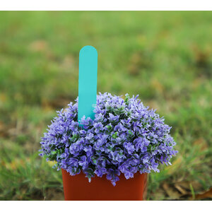 ป้ายชื่อต้นไม้