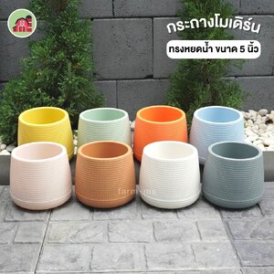 กระถางเบลล่า