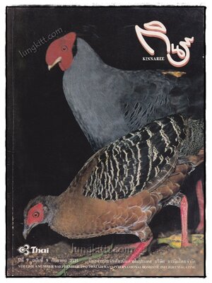 กินรี ปีที่ 9 ฉบับที่ 9 กันยายน 2535 019820