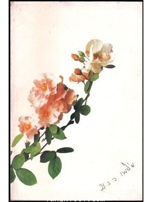 อนุสรณ์ในงานพระราชทานเพลิงศพ ม.ร.ว. เพยีย วิสิษฐยุทธศาสตร์ 010873 (1)