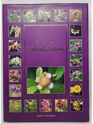 สมุนไพรพื้นบ้านอีสาน 027236