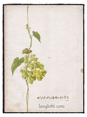 อนุสรณ์งานพระราชทานเพลิงศพ ท่านผู้หญิงขจรภะรตราชา ท.จ.ว. 014965 (1)