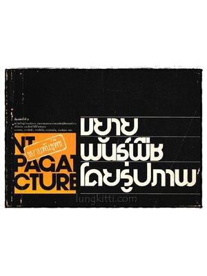 ขยายพันธุ์พืชโดยรูปภาพ PLANT PROPAGATION IN PICTURE 024338