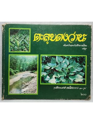 ตะลุยดงว่าน SKU-10019