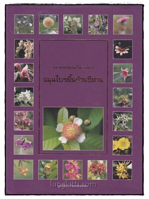 สารานุกรมสมุนไพร เล่ม 5 สมุนไพรพื้นบ้านอีสาน 020545 (1)