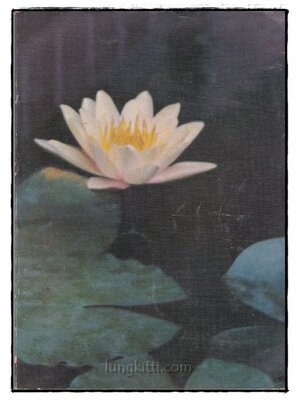 อนุสรณ์ในงานฌาปนกิจศพ นางปุ๋ย อรรถปริมลวุจดี (ปุ๋ย อิศรางกูร ณ อยุธยา) 022999